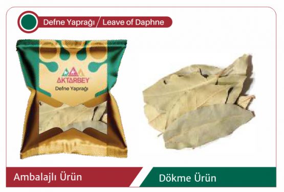 defne-yapragi-leave-of-daphne.jpg